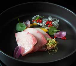 Japanese Yellowtail – Hamachi/Buri (Seriola Quinqueradiata)