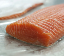 Norwegian Atlantic Salmon Trout (Oncorhynchus Mykiss)