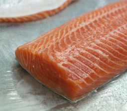 Norwegian Atlantic Salmon Trout (Oncorhynchus Mykiss)