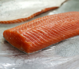 Norwegian Atlantic Salmon Trout (Oncorhynchus Mykiss)