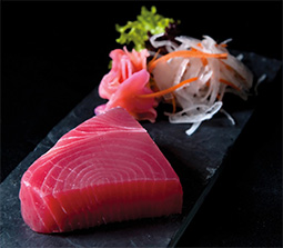 Yellowfin Tuna (Thunnus Albacares)